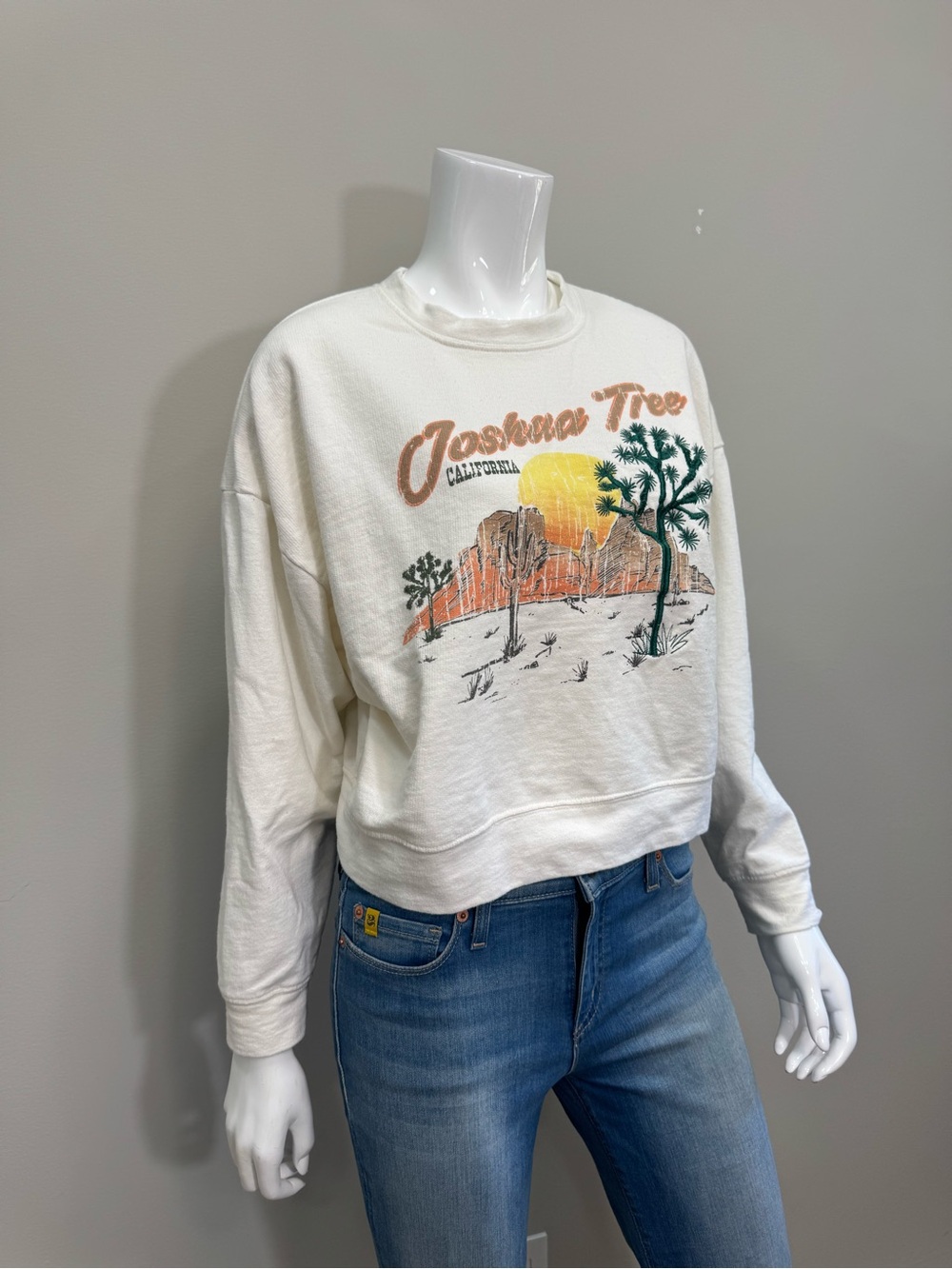 Altar'd State Cream Joshua Tree California Oversized Graphic Pullover Sweatshirt